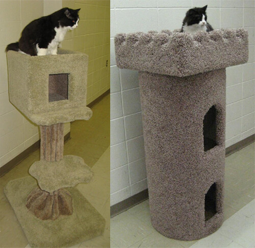 CATMAN Furniture will be selling items like these at the Edmonton International Cat Festival!