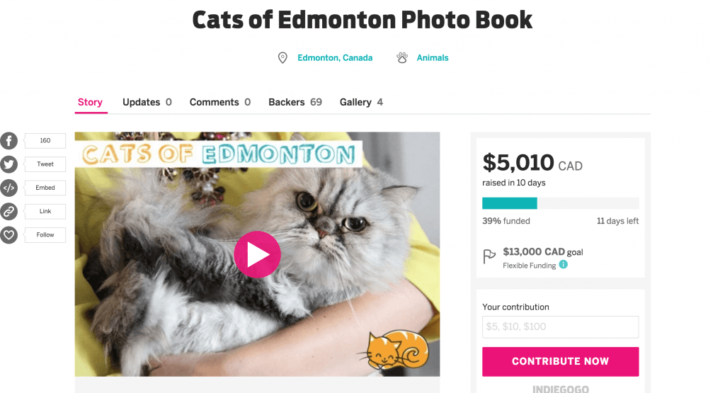 Cats of Edmonton Indiegogo Crowdfunding