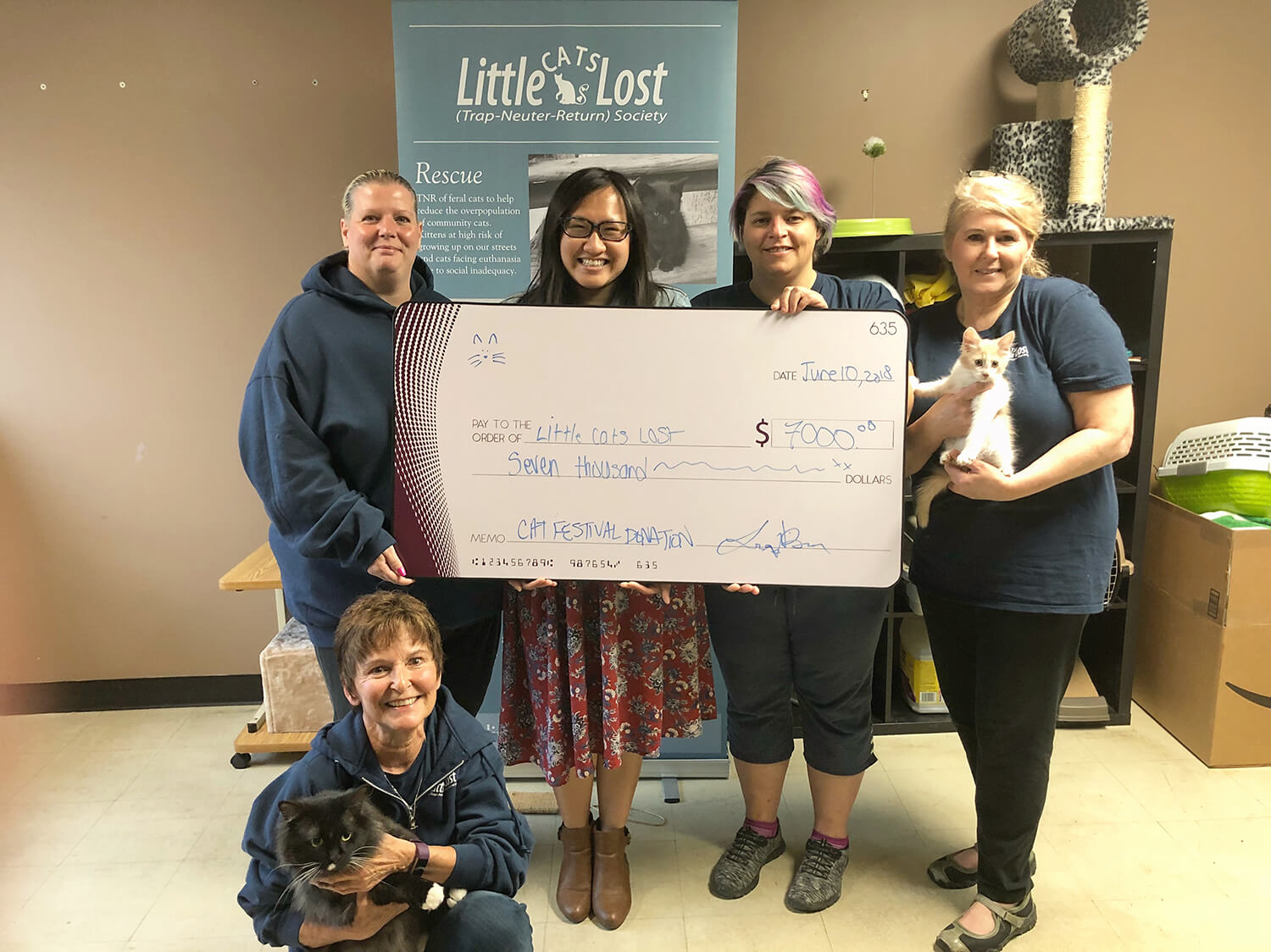 Edmonton International Cat Festival - Little Cats Lost Donation