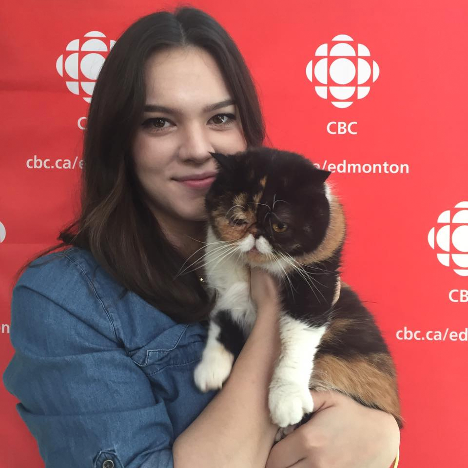 CBC Edmonton Pudge the Cat Comes to Edmonton for Cat Festival